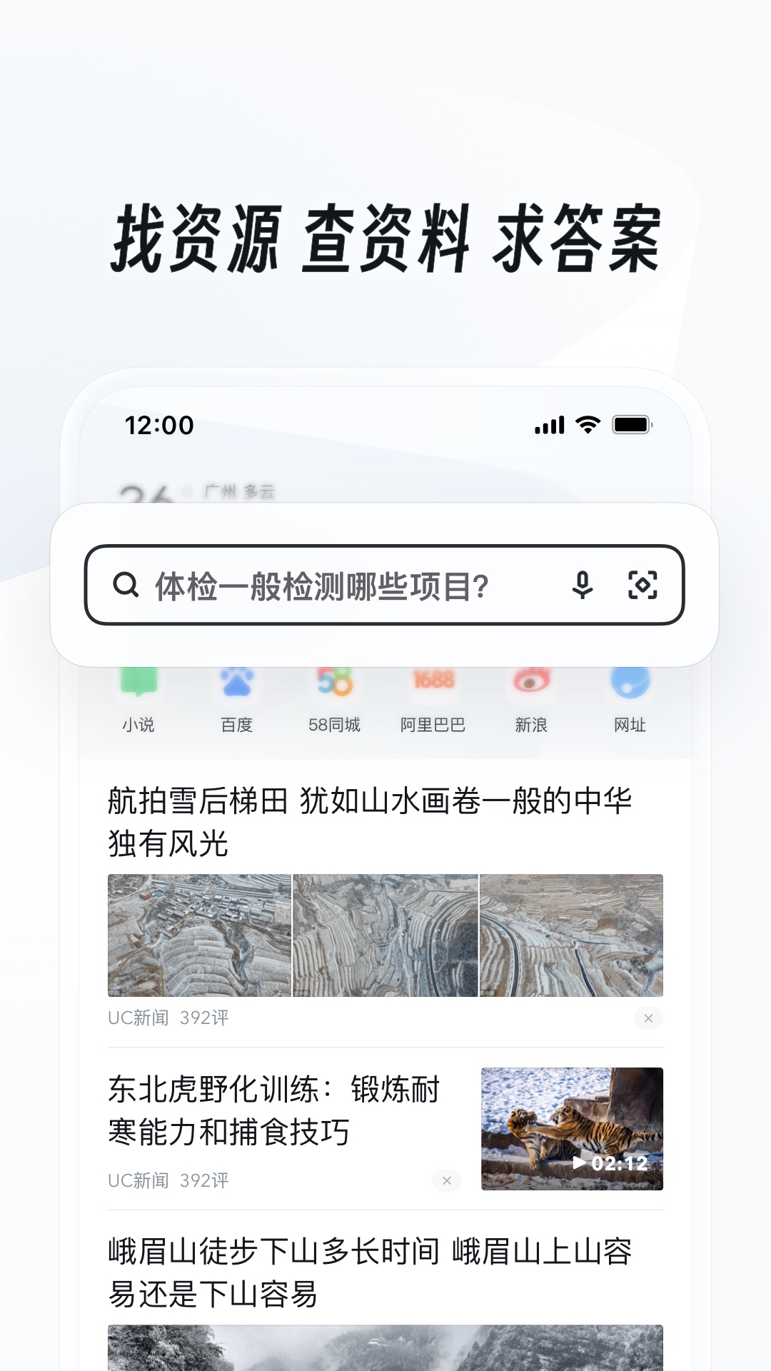 伴侣犬特点截图